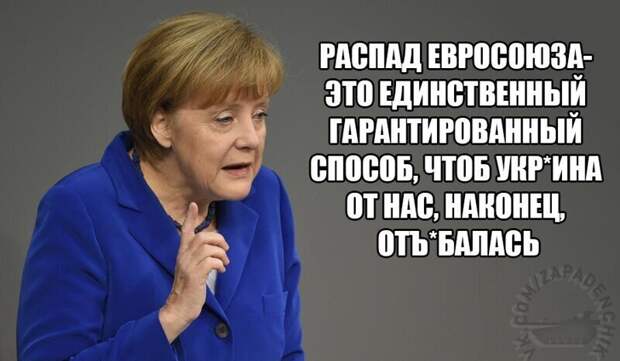 Политические комментарии из инета