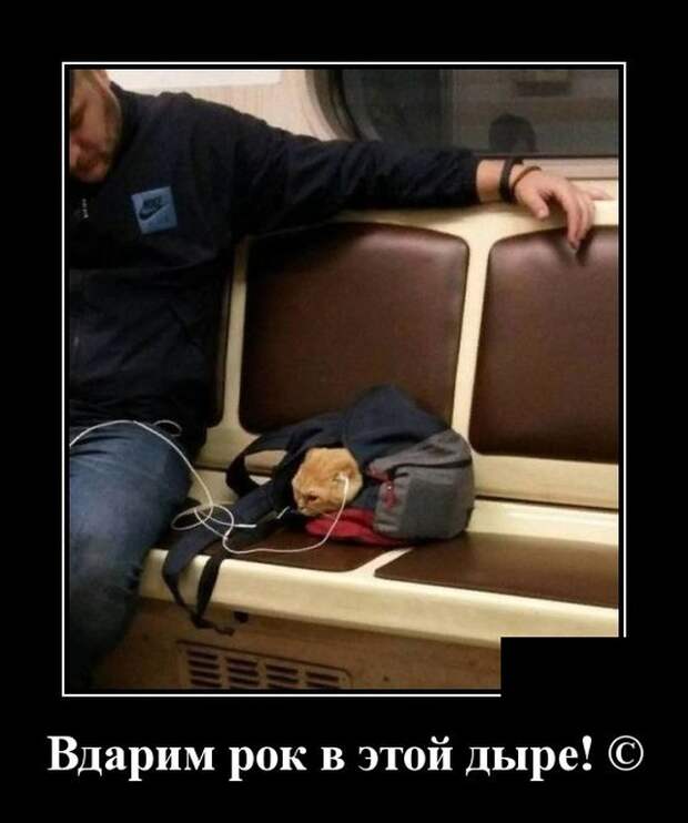 Демотиваторы (20 фото)
