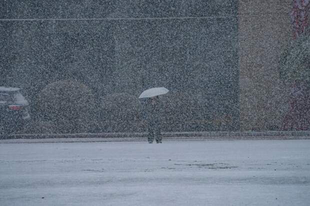 В Москве и Подмосковье зафиксировано 110% месячной нормы осадков за день