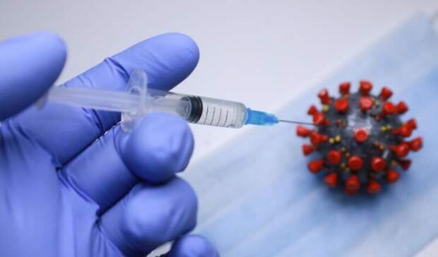 Уровень коллективного иммунитета к коронавирусу в стране опустился до 27,9%