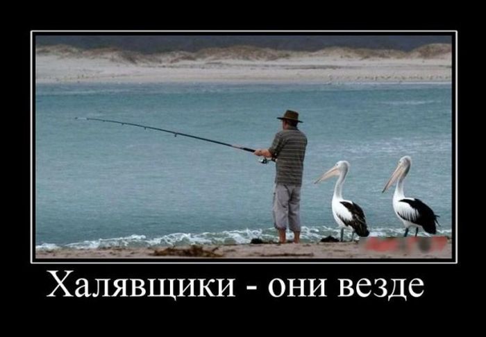 Демотиваторы (30 фото)