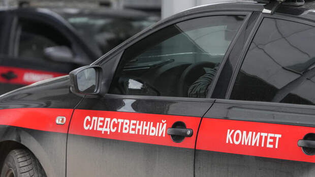 Подростки жестоко избили девушку в Кузбассе и сняли это на видео