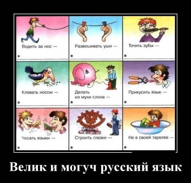 Прикольные и просто красивые картинки