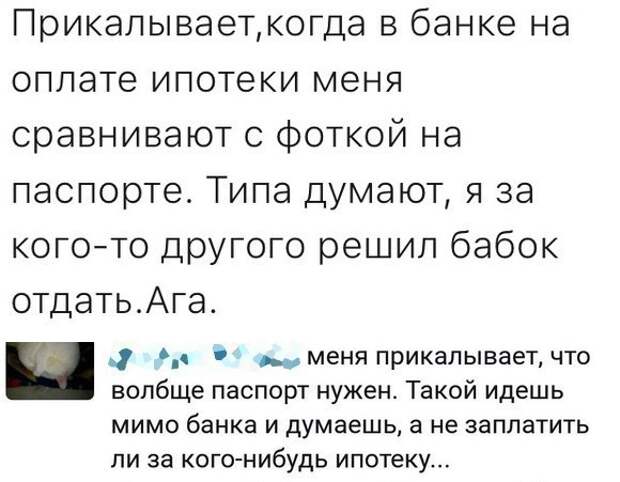 Забавные картинки с надписью для настроения (10 фото)