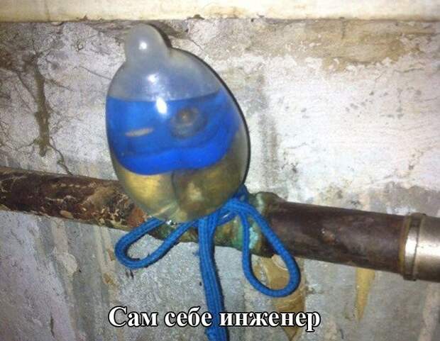 Фото приколы из реальной жизни Прикольные картинки с надписями, Смешные прикольные картинки, демотиваторы, фото приколы