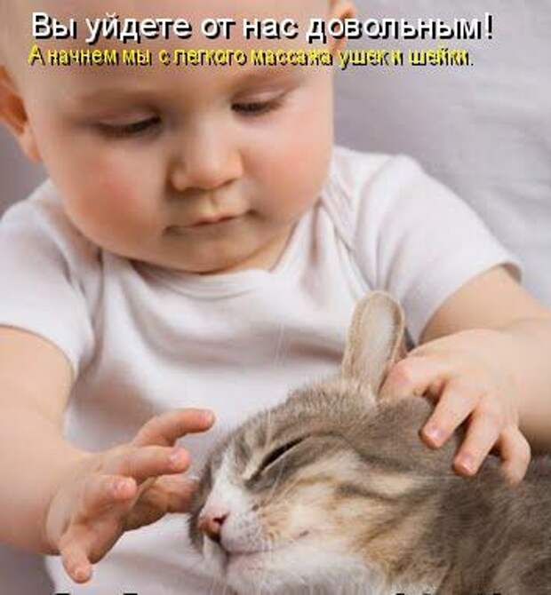 Котоматрица юморная (38 фото)