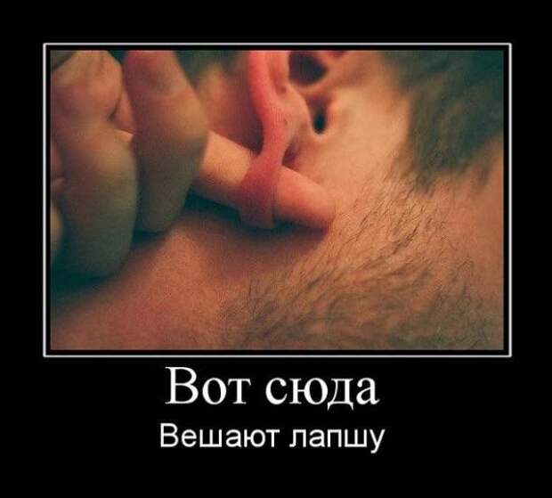 Немного новых демотиваторов