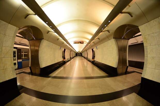 Фото Пиксабай
