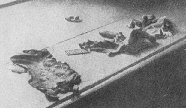 Найденная в подвале харьковской ЧК кожа, содранная с рук жертв при помощи металличего гребня и специальных щипцов. 