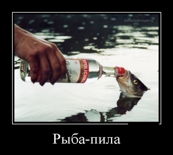Демотиваторы для поднятия настроения. Не скучай!