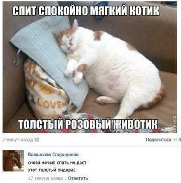 Приколы Приколы
