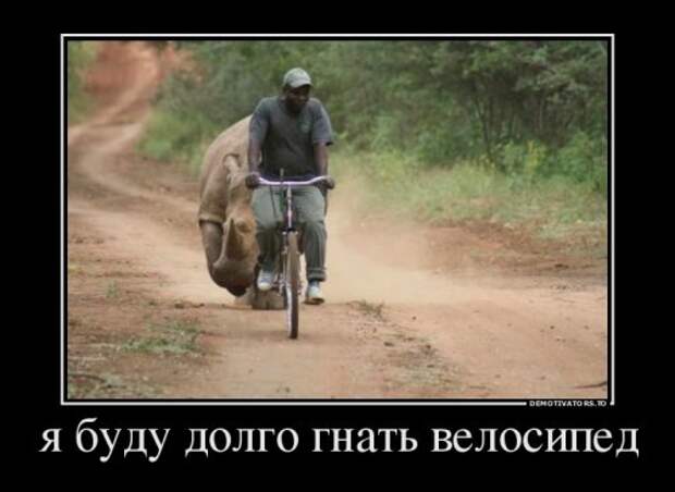 Сборник прикольных демотиваторов (13 шт)