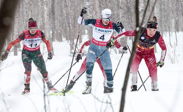 Вяльбе назвала досадным стечением обстоятельств падение лыжниц из-за собаки