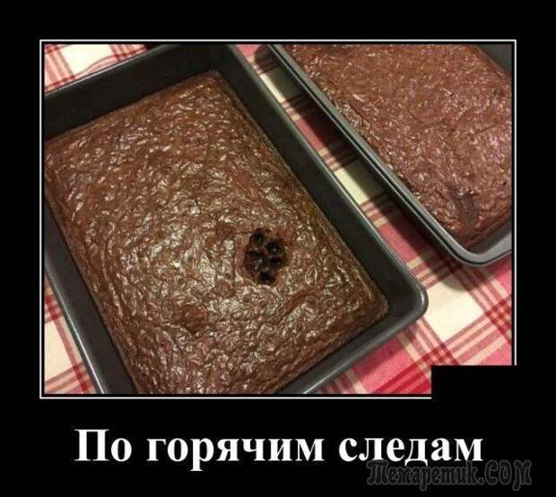 Демотиваторы для настроения