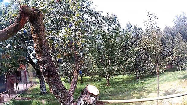 Как установить пильный диск на триммер