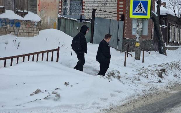 Рязанцы просят прокуратуру повлиять на мэрию по поводу расчистки перехода