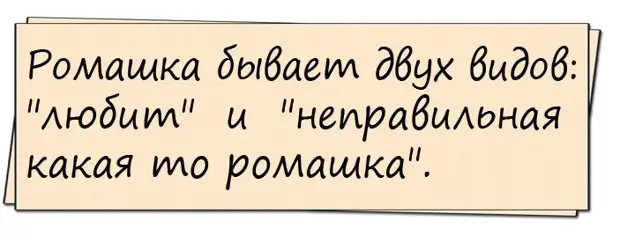 — Подруга , повезло тебе в жизни, ведь у тебя такой надежный хранитель очага !