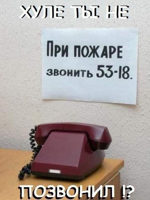 Приколы и приколихи.