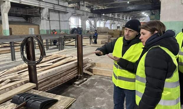 Представителям бизнеса Плесецкого округа представили региональные меры поддержки