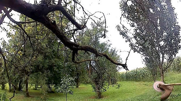 Как установить пильный диск на триммер