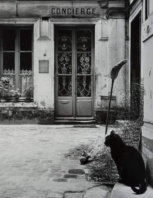 Кот-консьерж, 1957. Фотограф Жанин Ньепс (Janine Niépce)