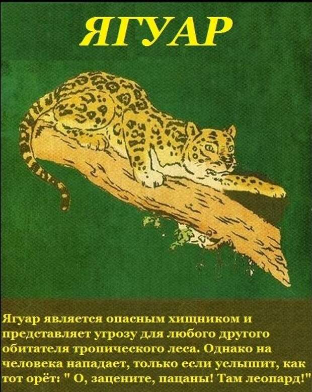 1449168249_57