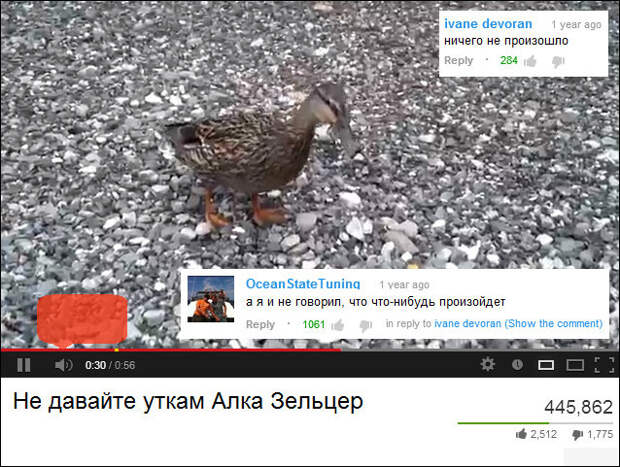Забавные комментарии из социальных сетей