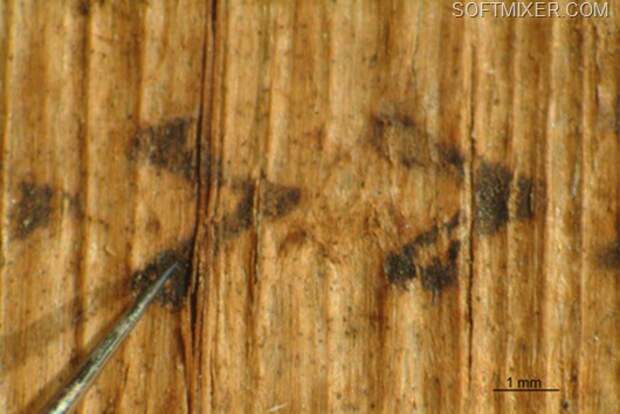 clip_image002