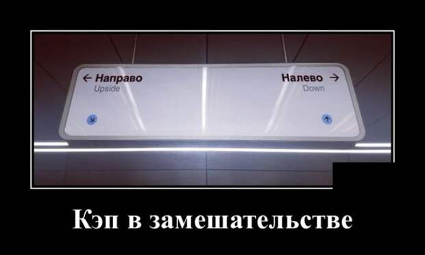 Демотиваторы (30 фото)