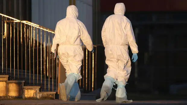 За сутки в России выявили 65 109 случаев коронавируса