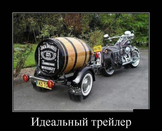Демотиваторы бревно, демотиваторы, юмор