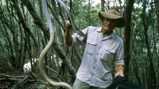 Ирула - индийские охотники на змей. Фото: wildwildworld.net.ua