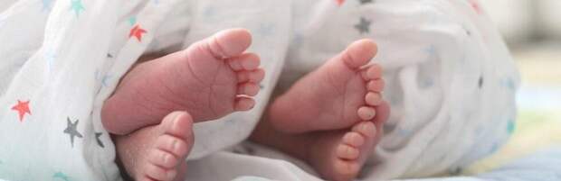 В Карагандинской области за год родилось 281 двойня