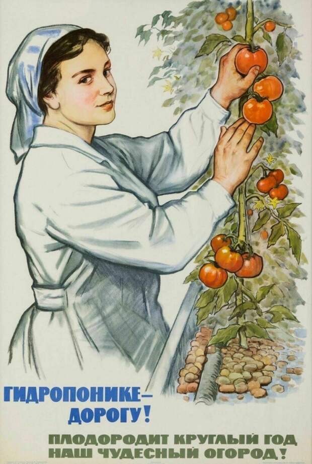 Плакаты из СССР, которые поднимали сельское хозяйство