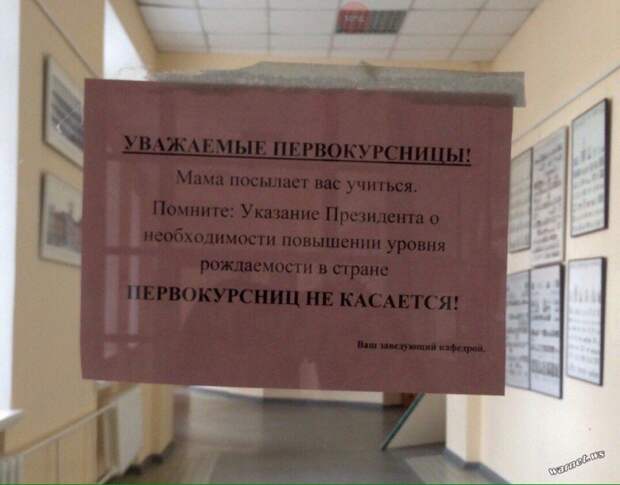 То есть как только девушка поступила... веселые, институт, молодось, общага, прикол, студентки, учеба, юмор