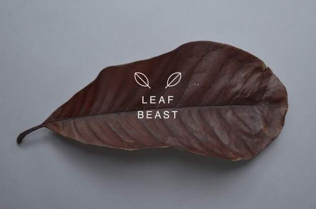 Причудливые зверушки из листьев (Leaf Beast)