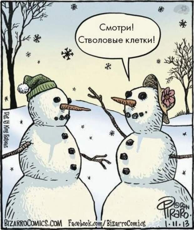 Как шутят учёные (26 фото)
