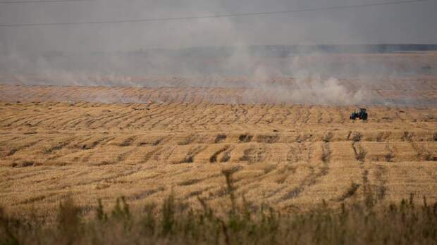 Пригорело: за сжигание травы фермеров оставят без субсидий