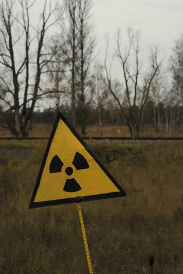 Замминистра Залевский: Польша подала заявку на размещение ядерного оружия