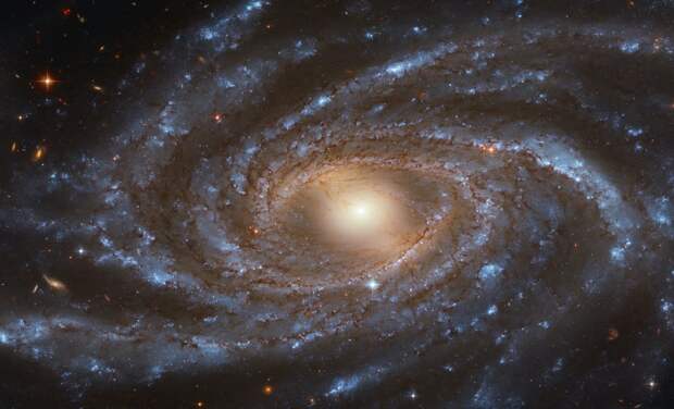 Российский ученый оценил вероятность наличия жизни в галактике с «мыльными пузырями»