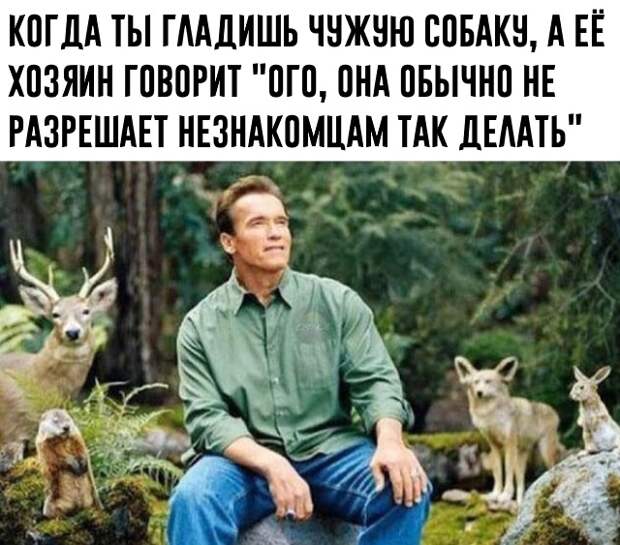 www.vsyako.net