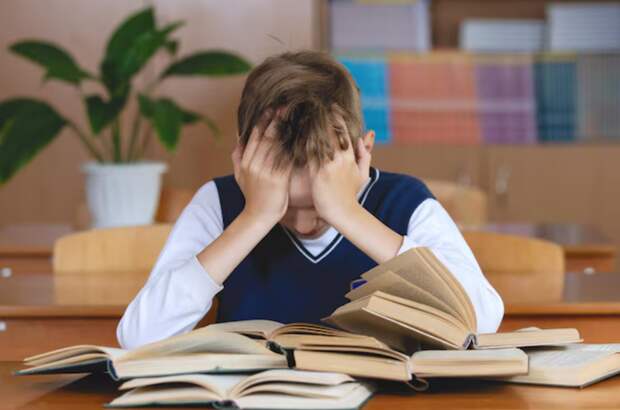 Почему дети перестали понимать математику.