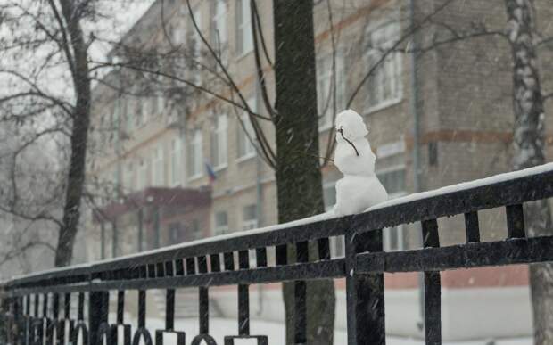 Рязанцев ждёт похолодание в последний новогодний выходной 11 января