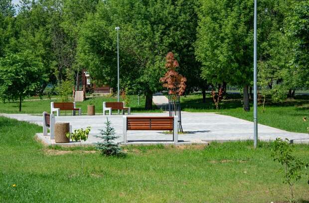 Фруктовый сад и прогулки у воды: 10 отличных мест для отдыха в ЮАО