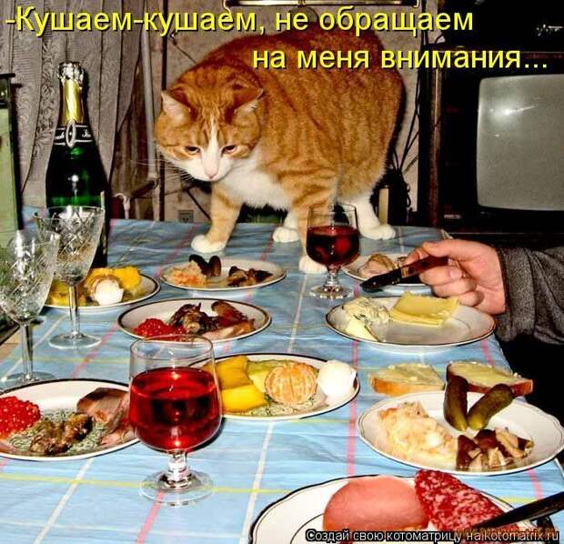 Уфф!!! Ну наконец-то! Котоматрицы великолепные, каждая с улыбкой и хорошим настроением!