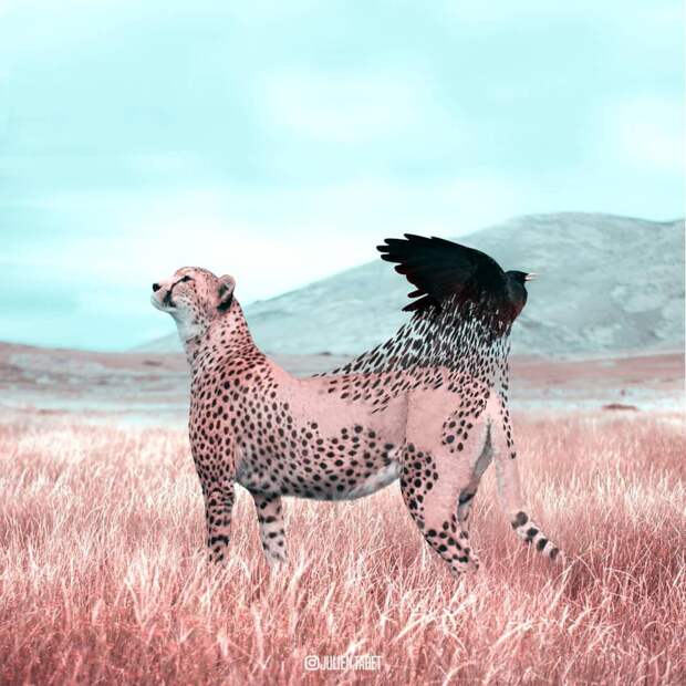 художник использует фотошоп для создания животных, Жюльен Табет