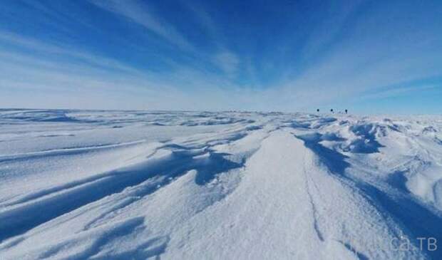 Загадочная Антарктида (13 фото)