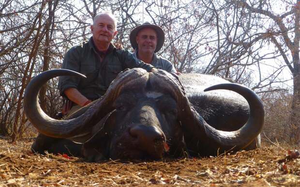 Узаконенное убийство: защитники животных выступают против охоты за трофеями в Южной Африке