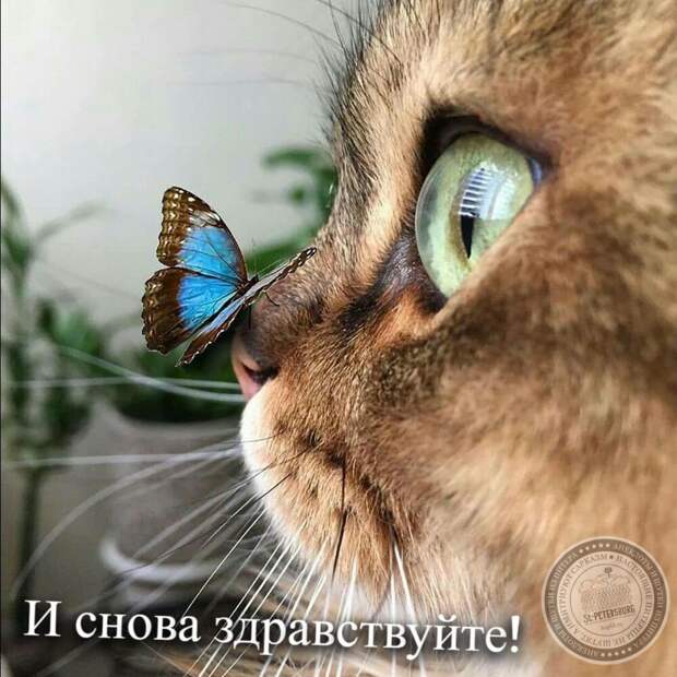 И снова здравствуйте!
