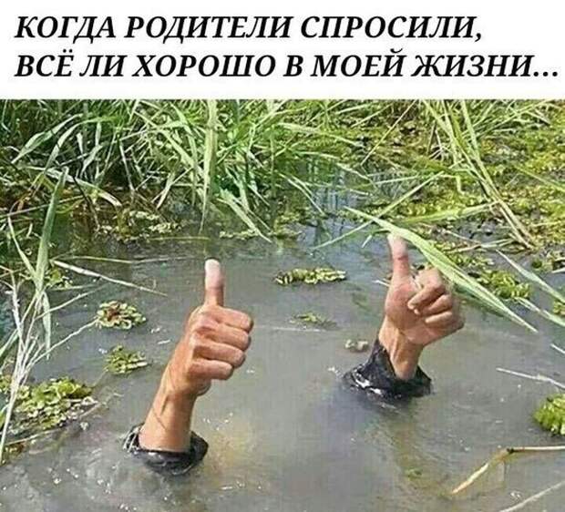 Подборка юмора и веселья в картинках и фотографиях Подборка юмора и веселья в картинках и фотографиях
